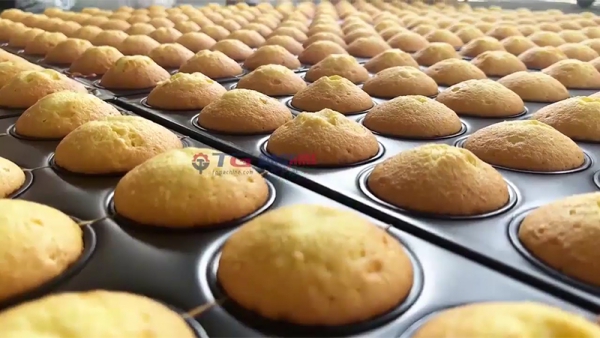 Ligne de production semi-automatique des biscuits et de petits gâteaux